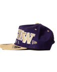 New Era Washington Huskies March Madness 19Twenty Adjustable Hat