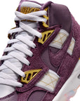 AIR TRAINER SC SP - Pro Purple