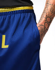 Jordan Men's Brasil Mesh Diamond Shorts - Royal Blue