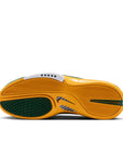 NIKE AIR ZOOM HUARACHE 2K4 SB - SUE BIRD