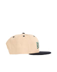 Seattle Mariners Team Art 9FIFTY Snapback
